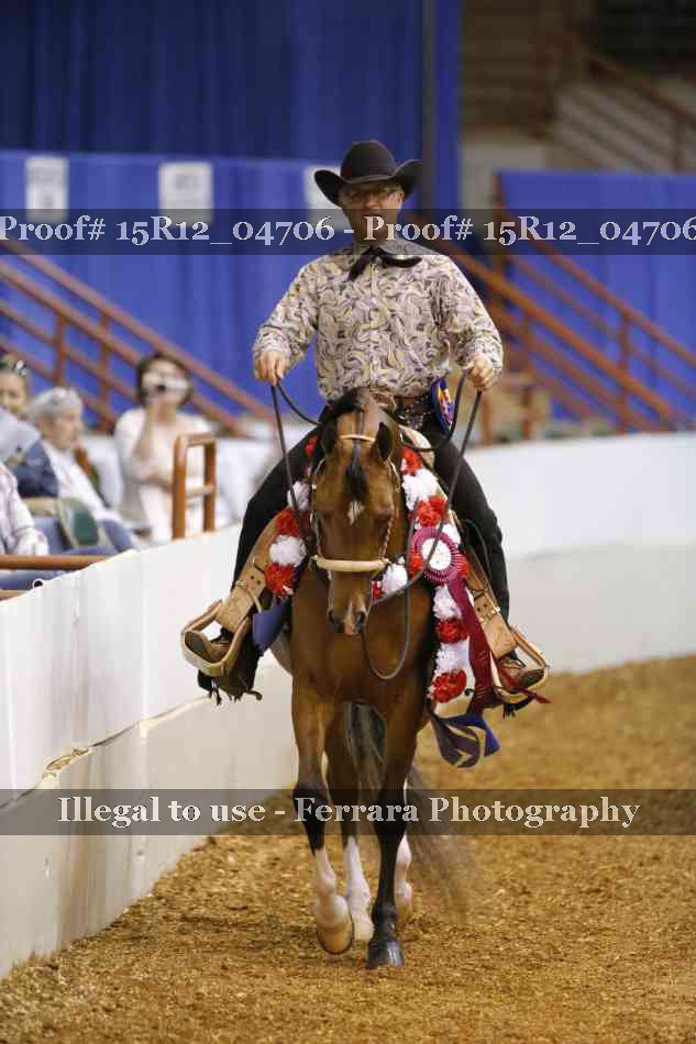 Proof Number 15R12_04706
