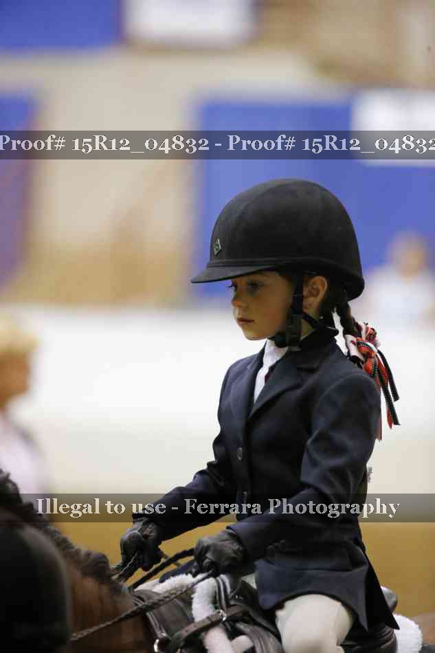 Proof Number 15R12_04832