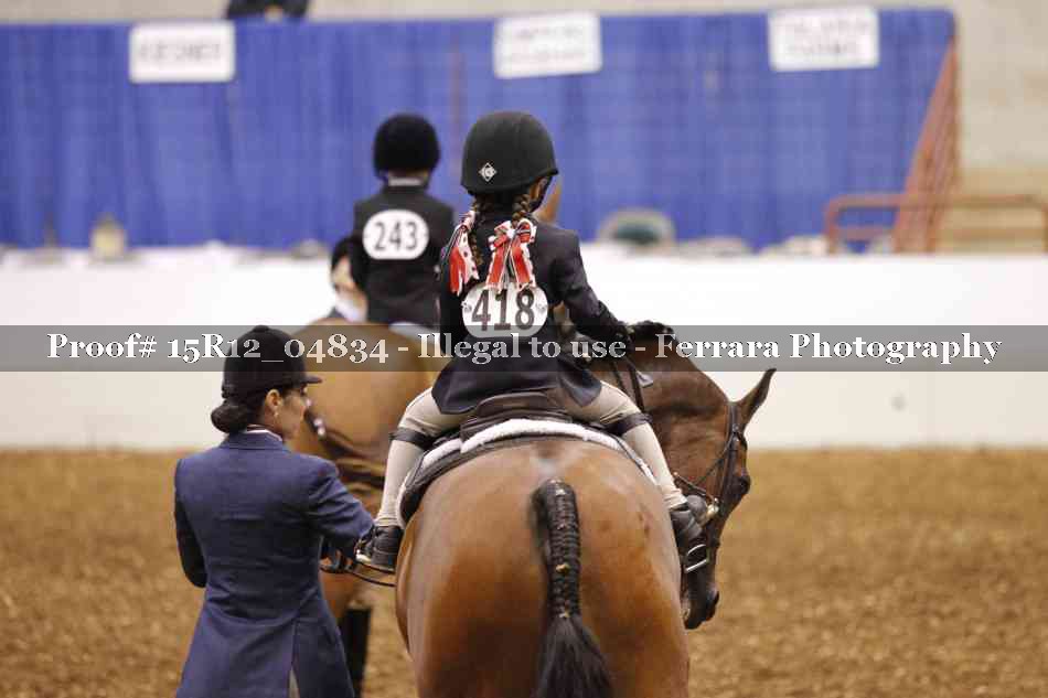 Proof Number 15R12_04834