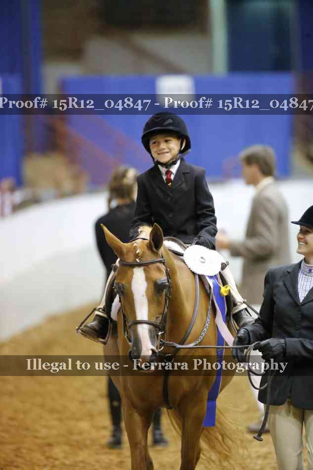 Proof Number 15R12_04847