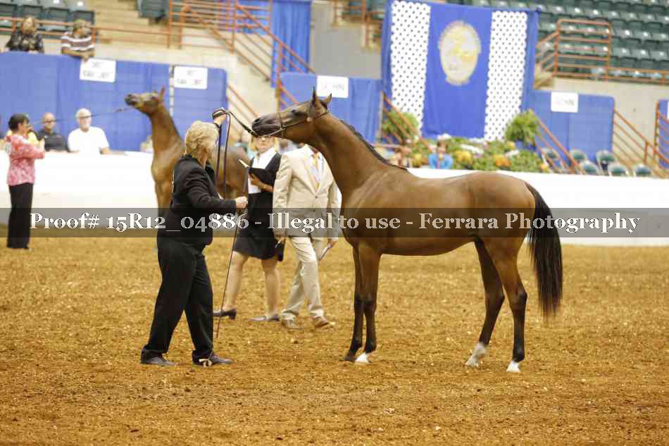 Proof Number 15R12_04886