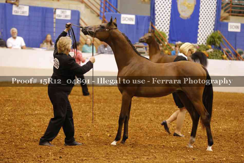 Proof Number 15R12_04891