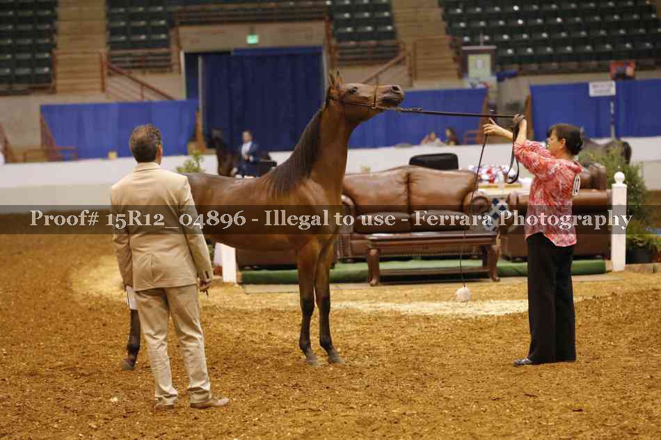 Proof Number 15R12_04896
