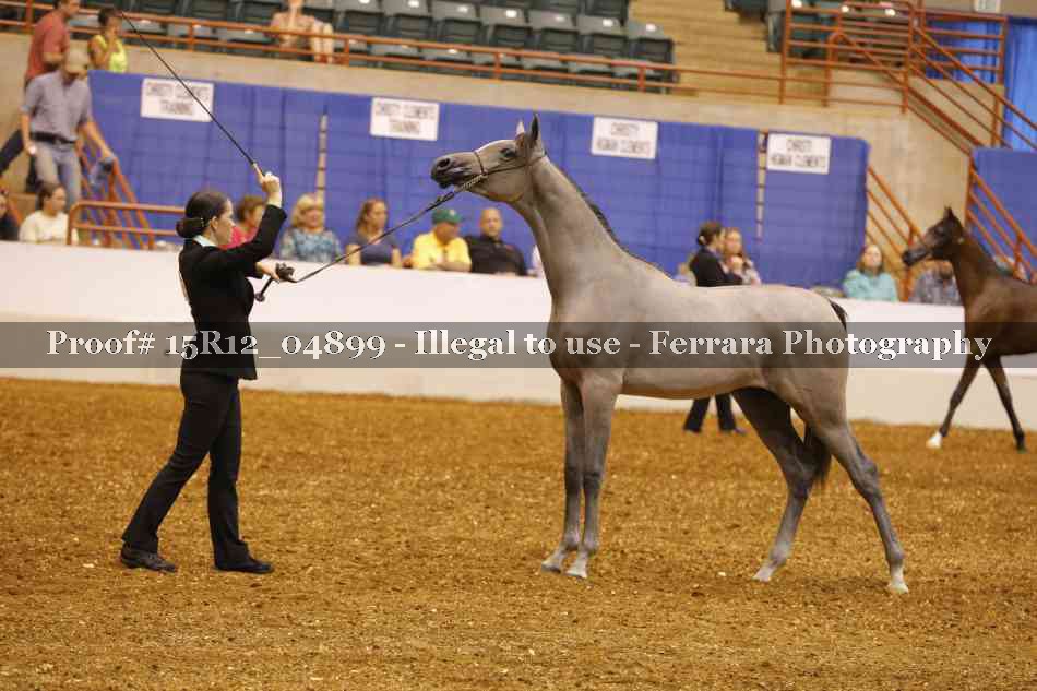 Proof Number 15R12_04899