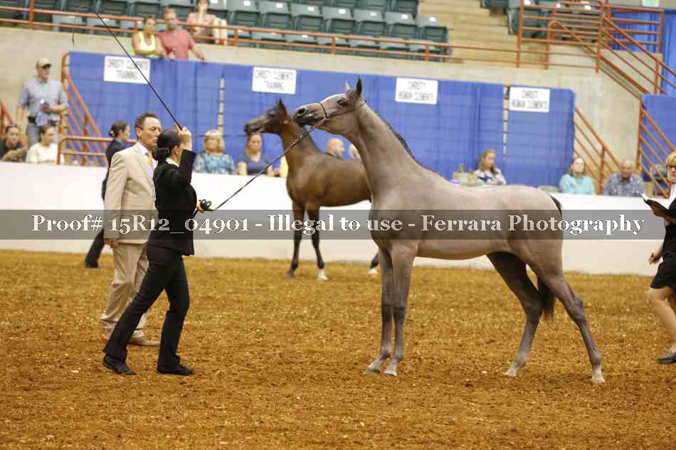 Proof Number 15R12_04901