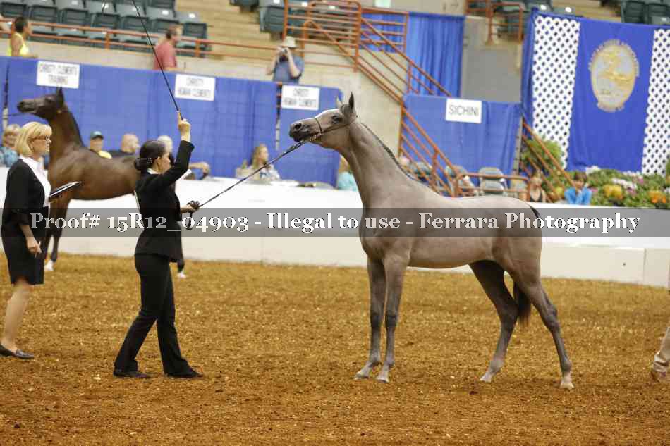 Proof Number 15R12_04903