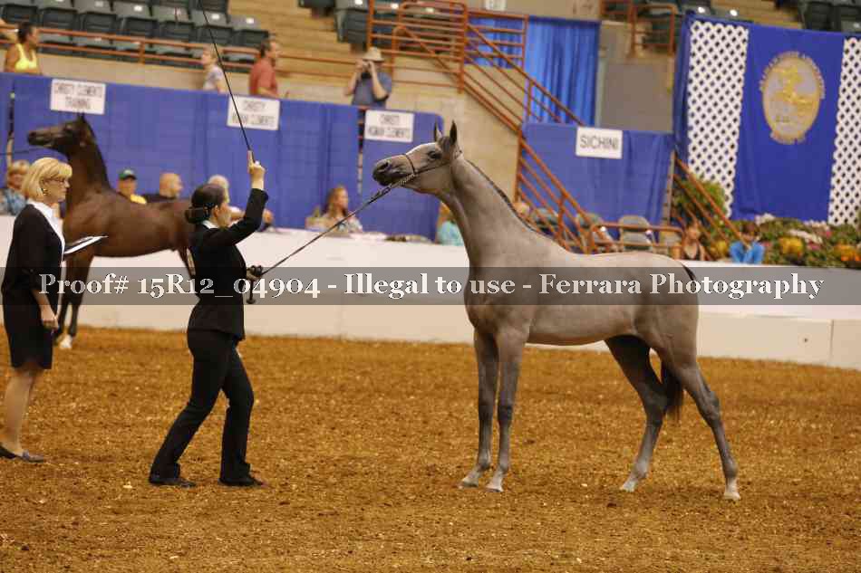 Proof Number 15R12_04904