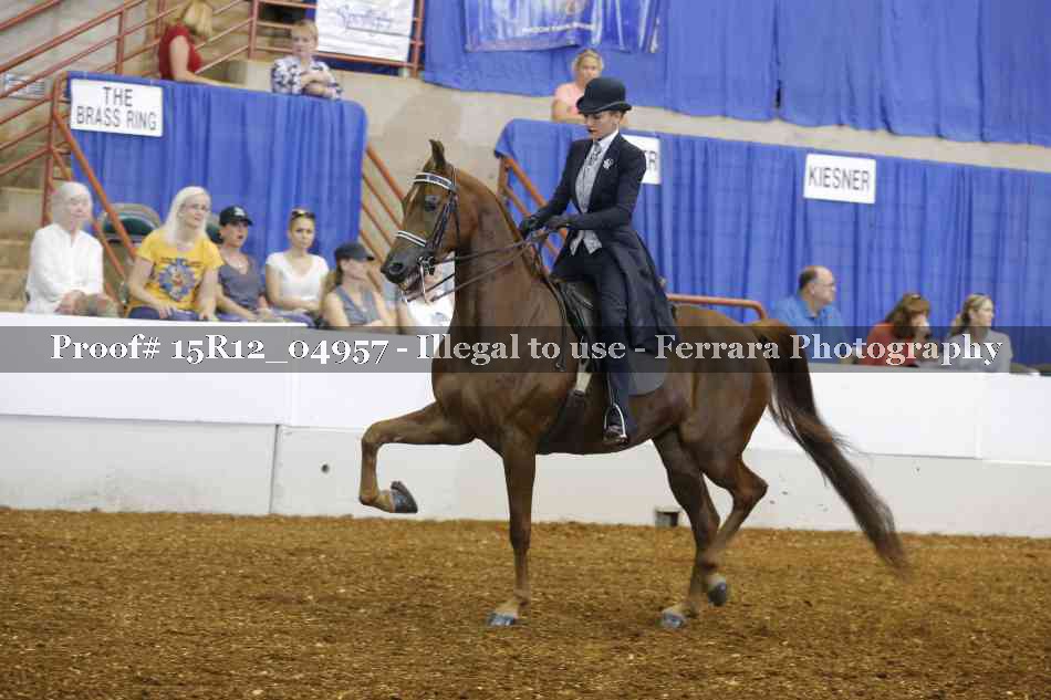 Proof Number 15R12_04957