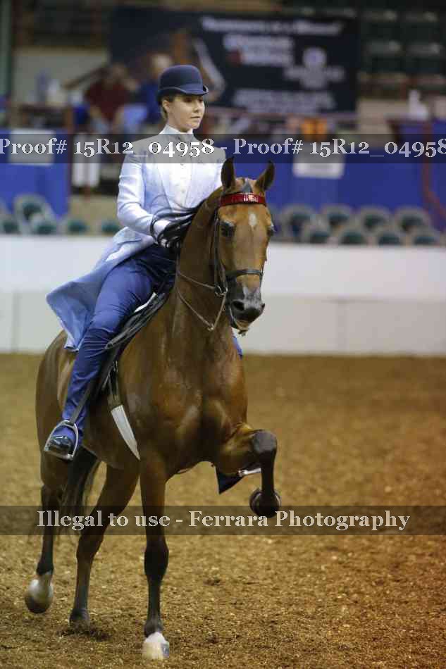 Proof Number 15R12_04958