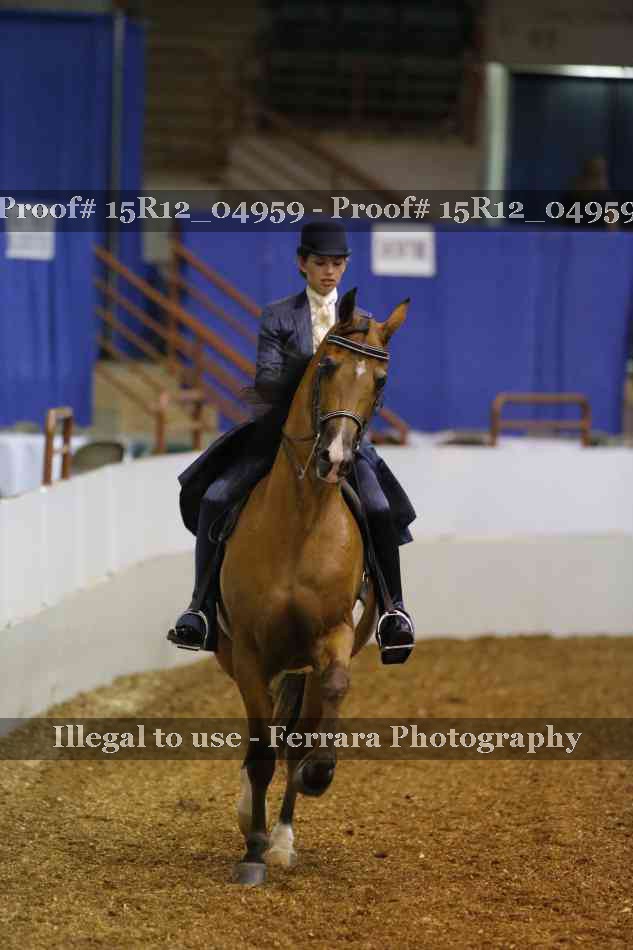 Proof Number 15R12_04959