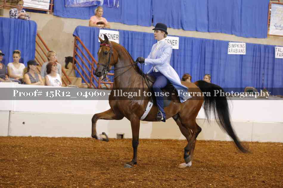 Proof Number 15R12_04960