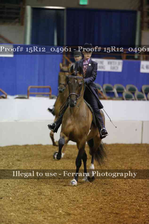 Proof Number 15R12_04961