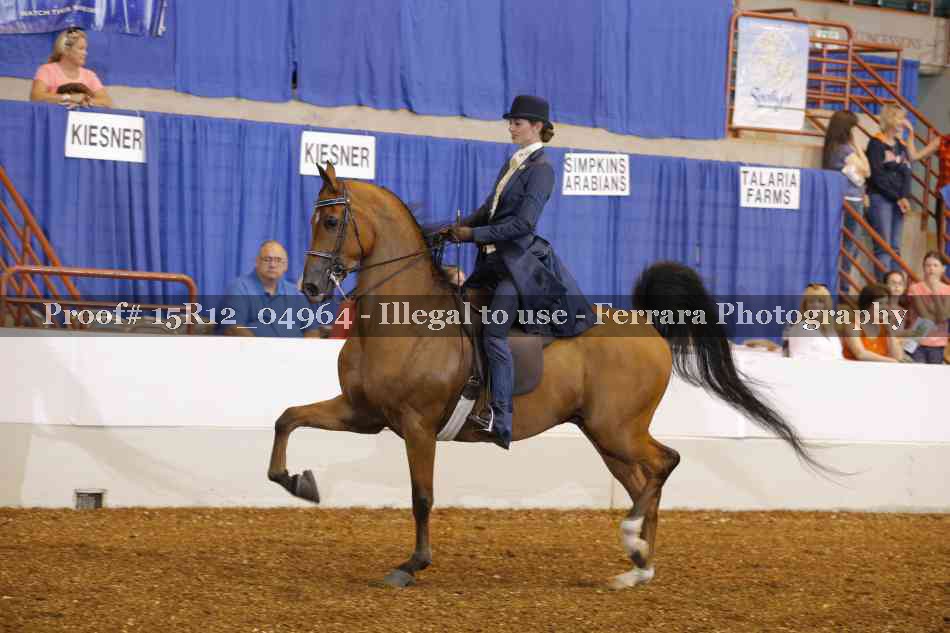 Proof Number 15R12_04964