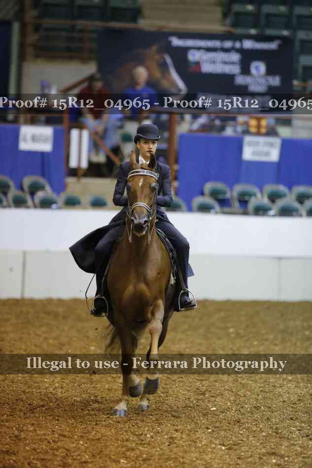 Proof Number 15R12_04965