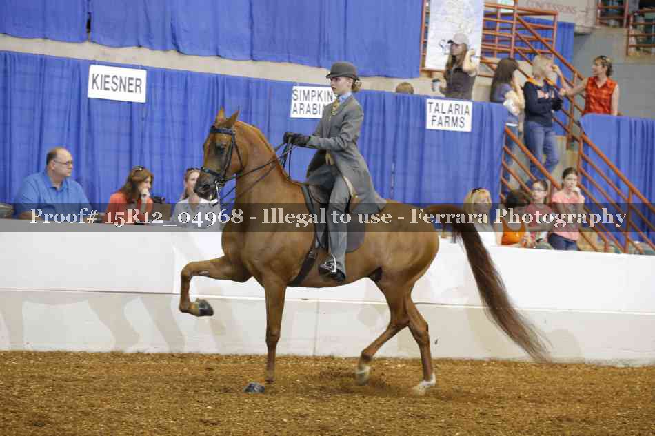 Proof Number 15R12_04968