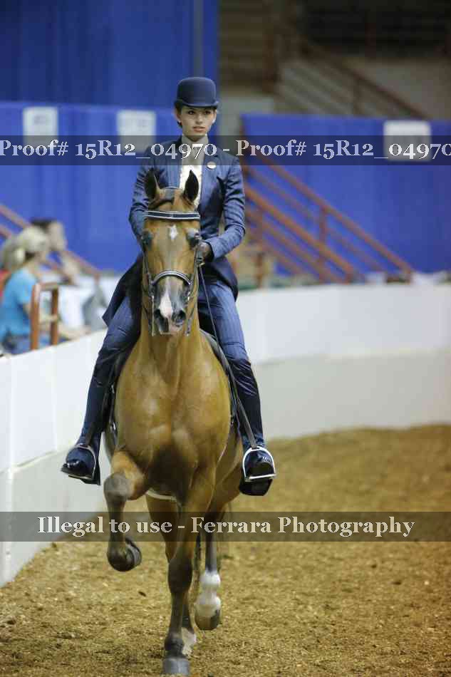 Proof Number 15R12_04970