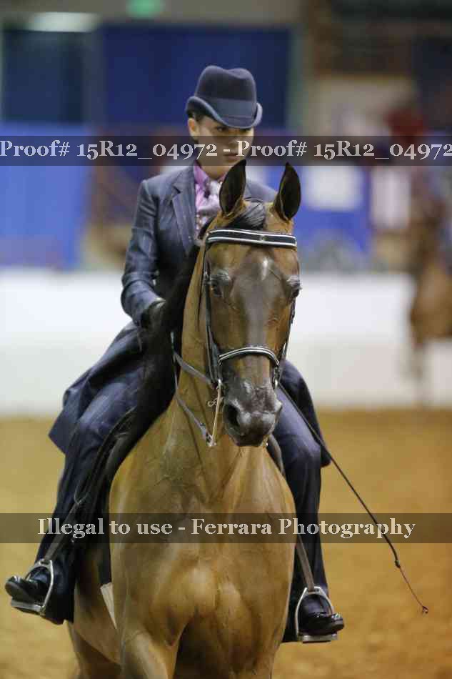 Proof Number 15R12_04972