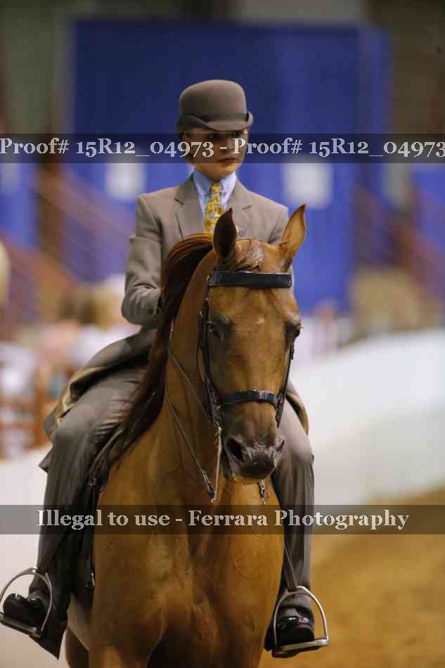 Proof Number 15R12_04973