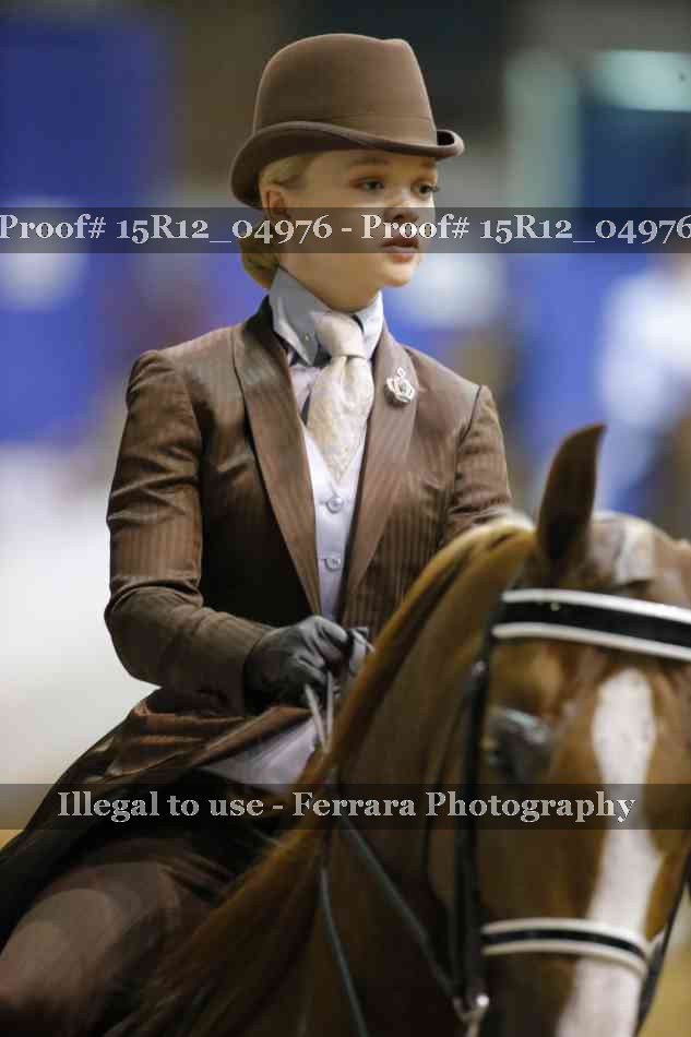 Proof Number 15R12_04976