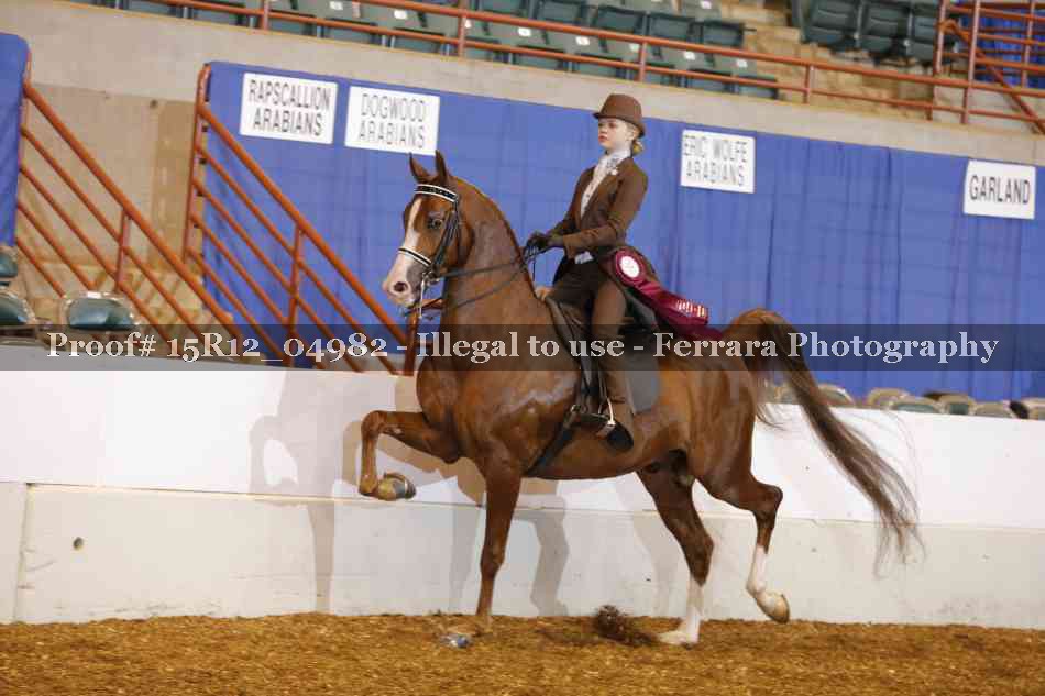 Proof Number 15R12_04982