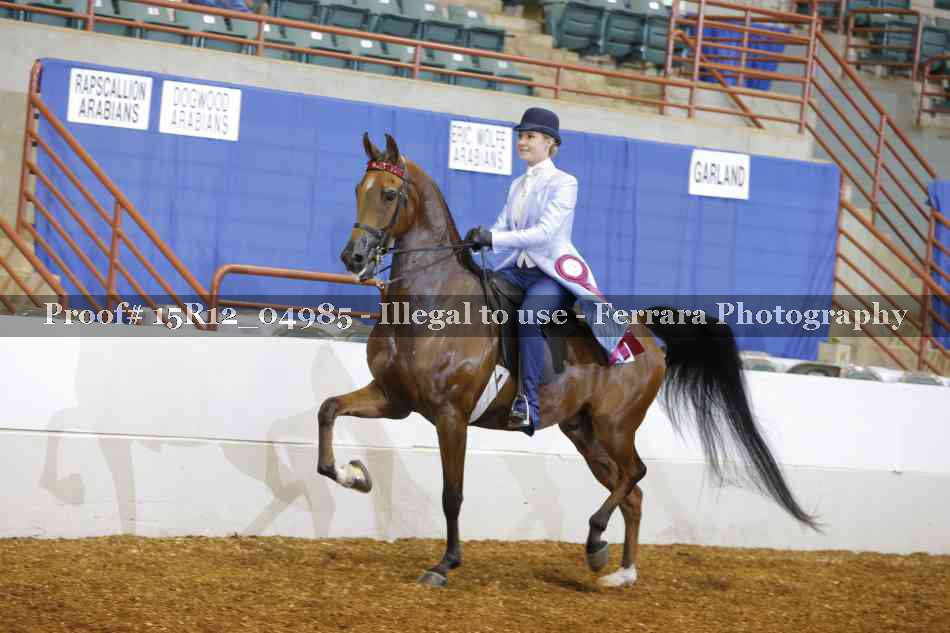 Proof Number 15R12_04985