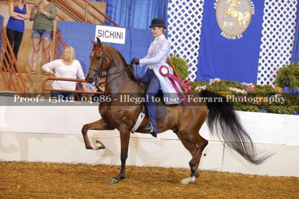 Proof Number 15R12_04986