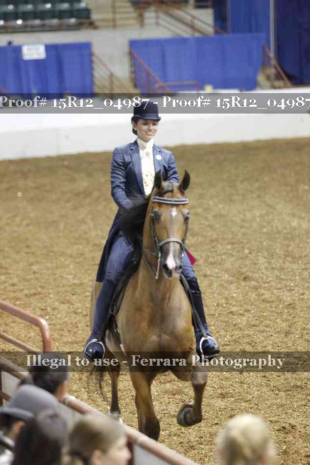 Proof Number 15R12_04987