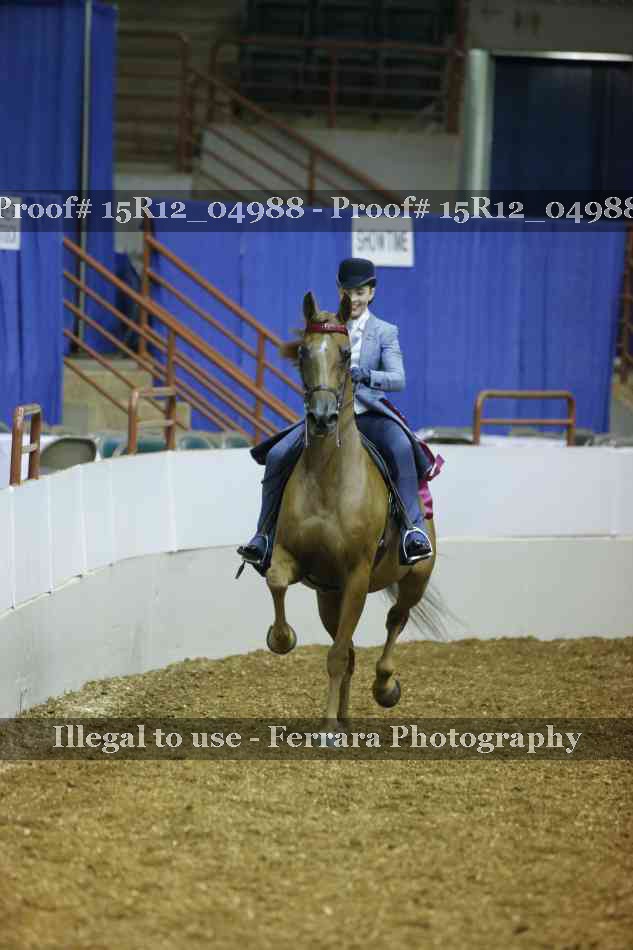 Proof Number 15R12_04988