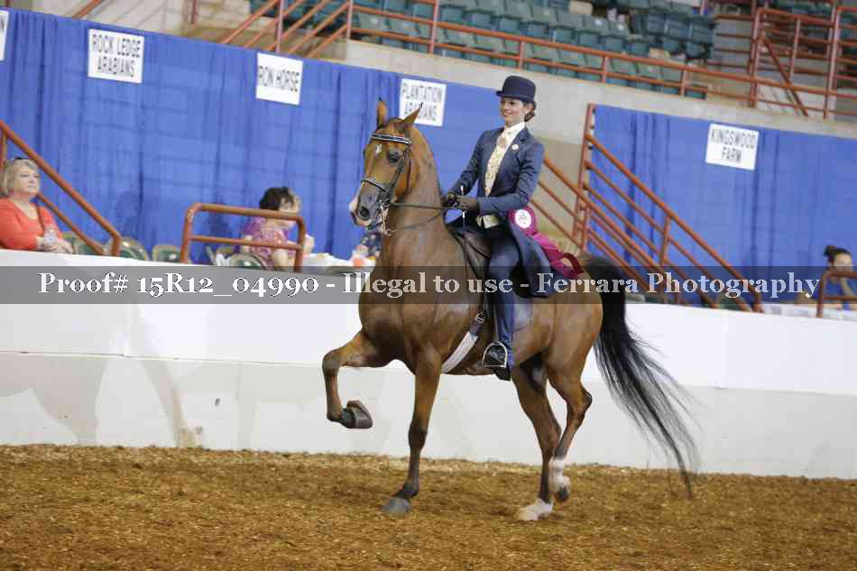 Proof Number 15R12_04990