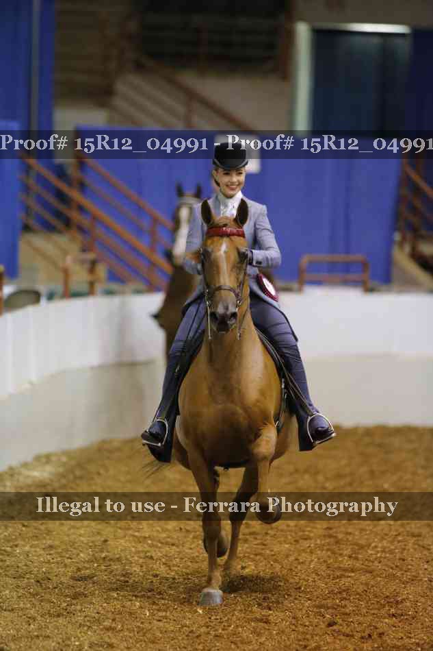 Proof Number 15R12_04991