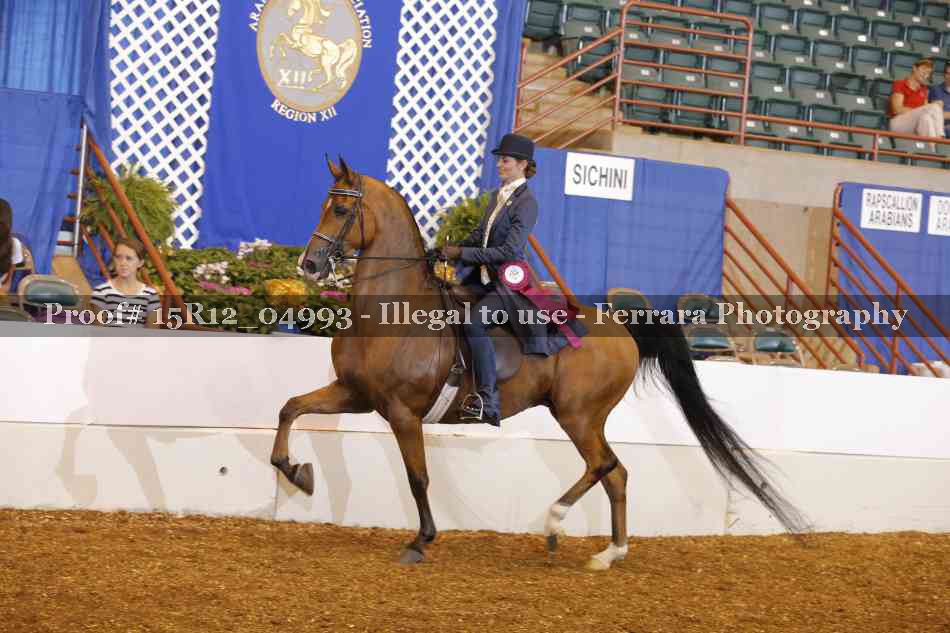 Proof Number 15R12_04993
