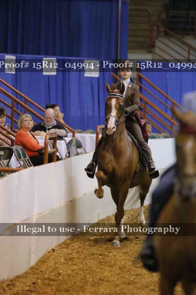 Proof Number 15R12_04994