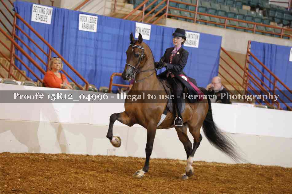 Proof Number 15R12_04996