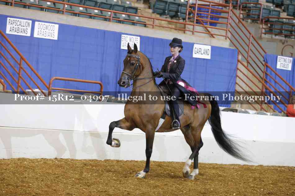 Proof Number 15R12_04997