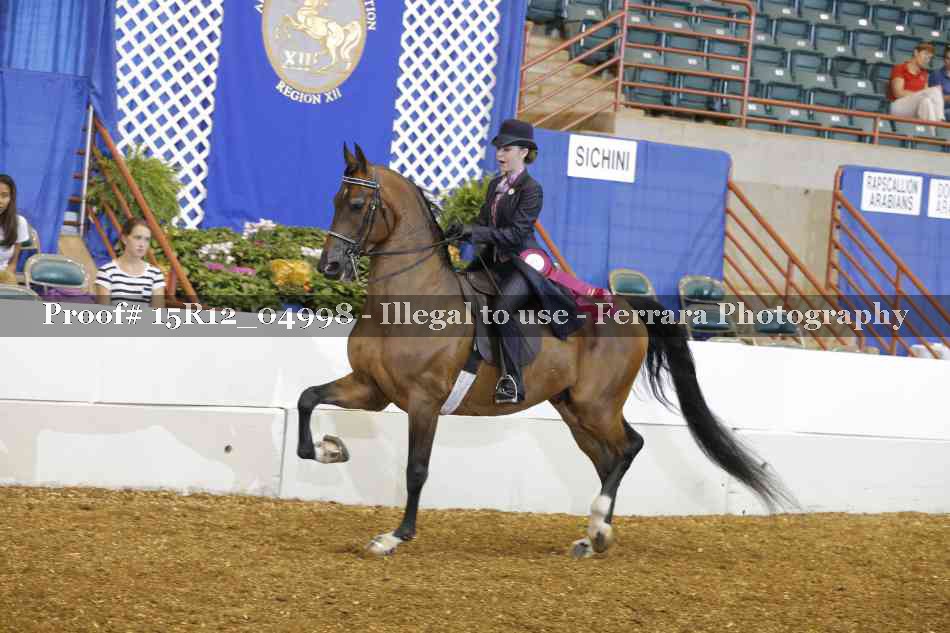 Proof Number 15R12_04998