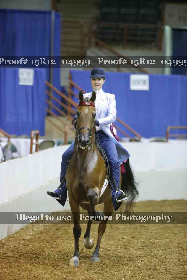 Proof Number 15R12_04999