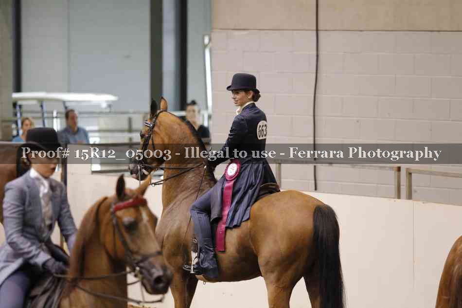 Proof Number 15R12_05003