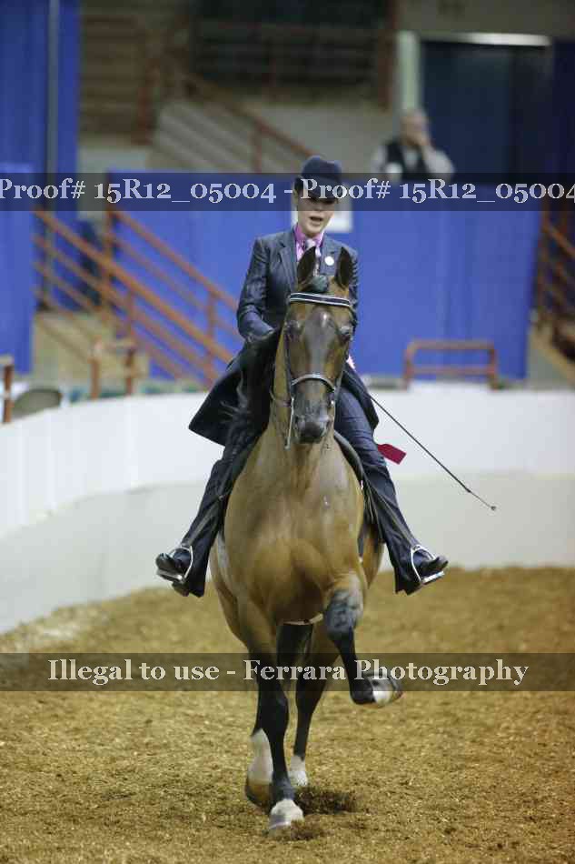 Proof Number 15R12_05004