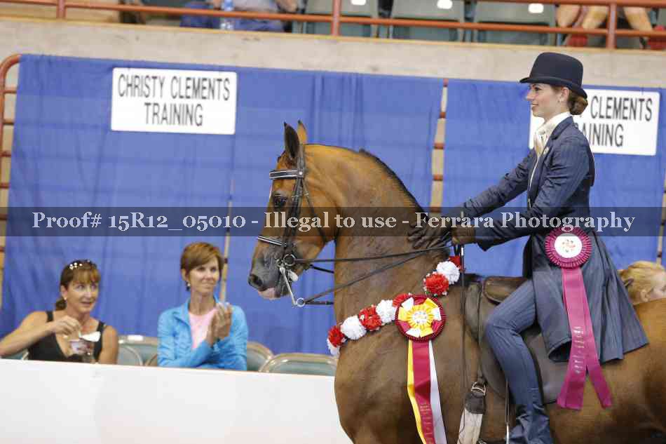 Proof Number 15R12_05010