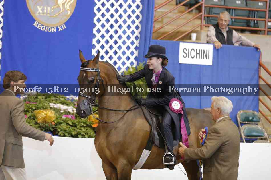 Proof Number 15R12_05013