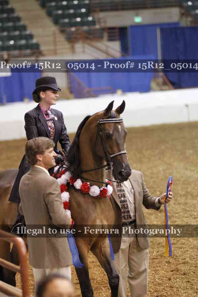 Proof Number 15R12_05014