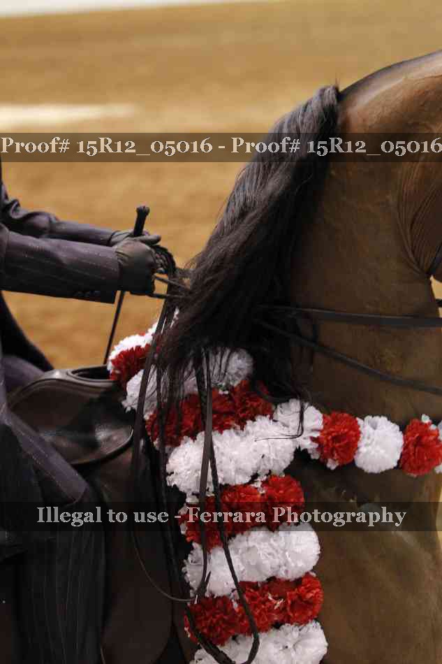 Proof Number 15R12_05016