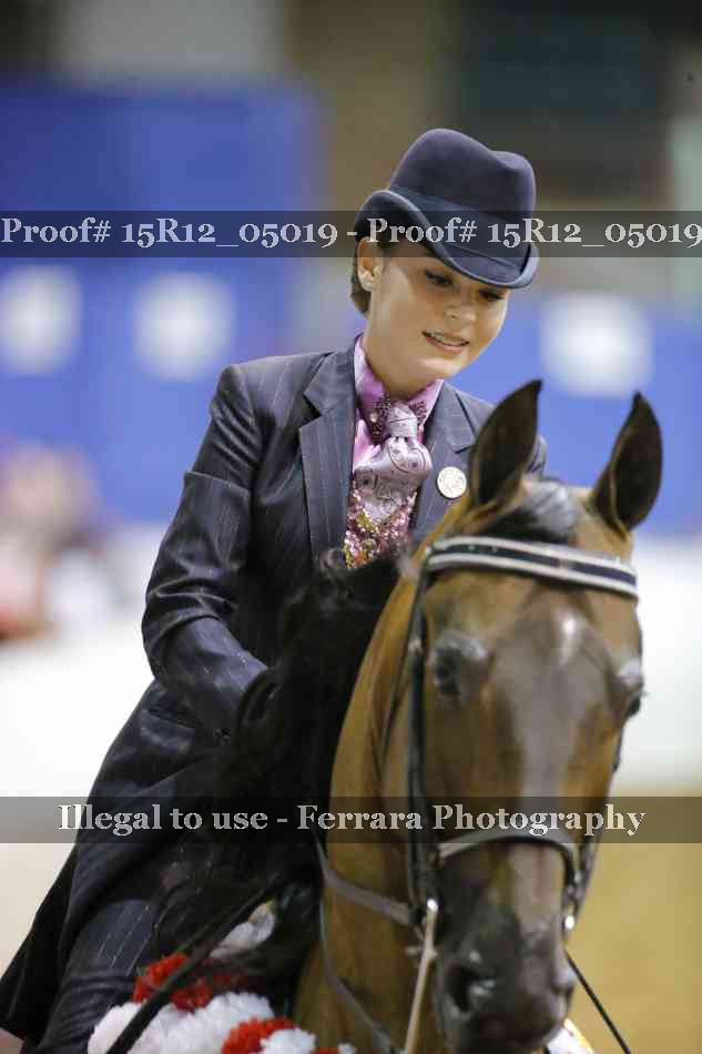Proof Number 15R12_05019