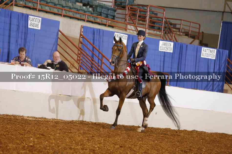 Proof Number 15R12_05022
