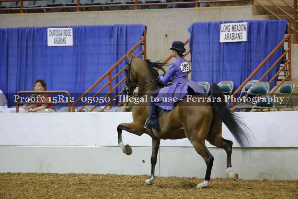 Proof Number 15R12_05050