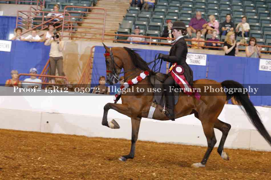 Proof Number 15R12_05072