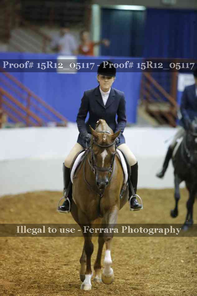 Proof Number 15R12_05117