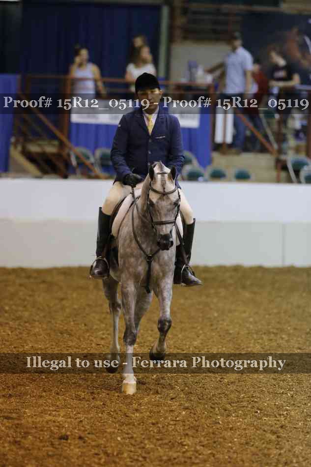 Proof Number 15R12_05119