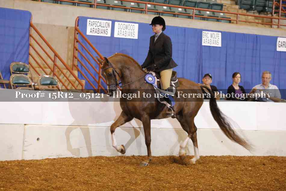 Proof Number 15R12_05121