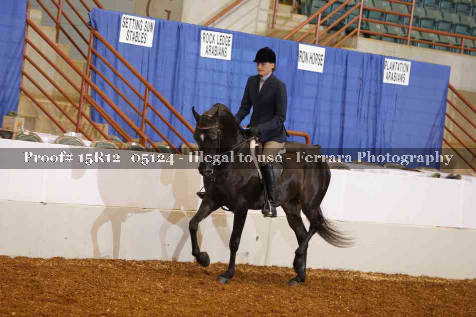 Proof Number 15R12_05124